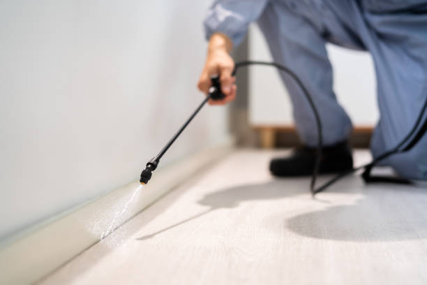 Licensed Pest Control service in Rice, TX - Show Me Pest Control