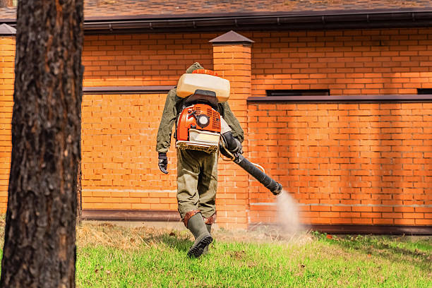 Bed Bug Clearance Verification and Documentation in Rice